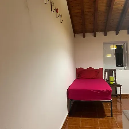Vintedois